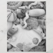 シーライフ・シーシェルIDワークシートの色付けページ チラシ (裏面)