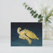 シーライフ – タコ ポストカード (スタンド正面)