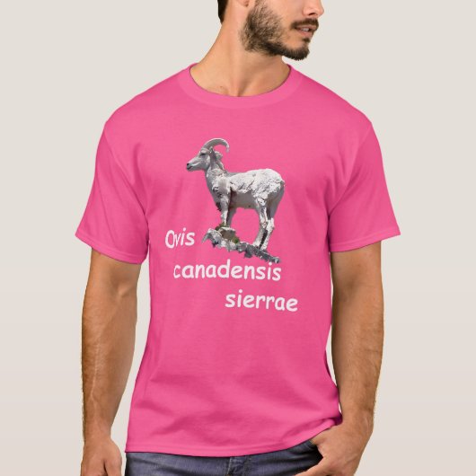 シーラエシエラネバダビグロンシー Tシャツ (正面)