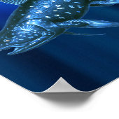 シーラカンス ポスター (角)