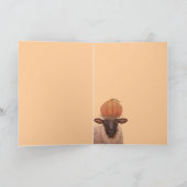 シーラカード カード (内部)