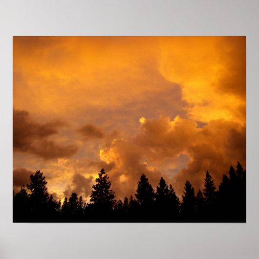 シーラスの夕日 ポスター (正面)