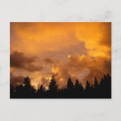 シーラスの夕焼け – はがき (正面)