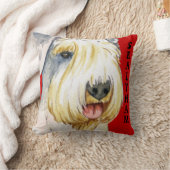 シーリアムテリアカラーブロック クッション (ブランケット)