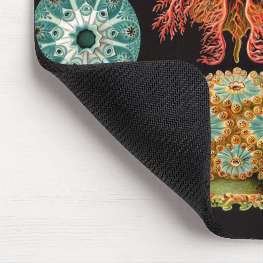 シーリススクエアマウスパッド マウスパッド (コーナー)