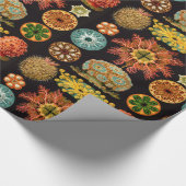 シーリススクエアラッピング紙 ラッピングペーパー (角)