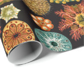 シーリススクエアラッピング紙 ラッピングペーパー (ロールコーナー)