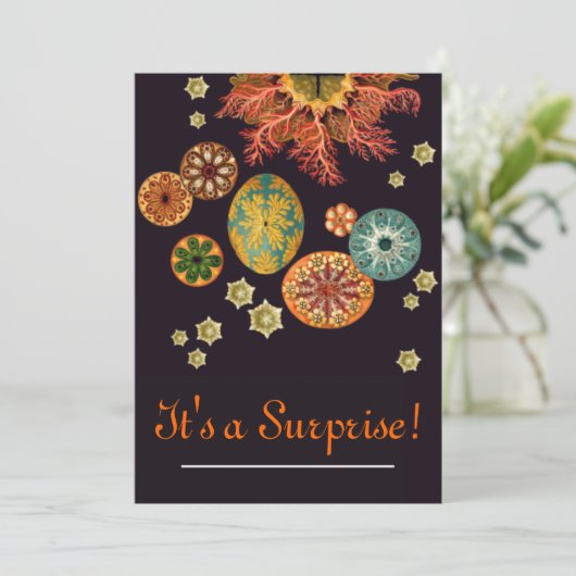 シーリスリミックス招待状 招待状 (スタンド正面)