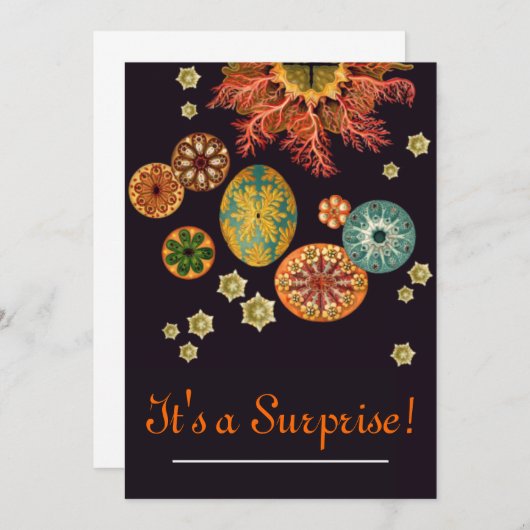 シーリスリミックス招待状 招待状 (正面/裏面)