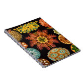 シーリス広場 ノートブック (右側)