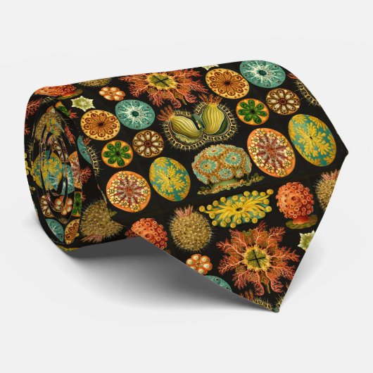 シーリスAscidiae by Ernst Haeckel ネクタイ (ロール)
