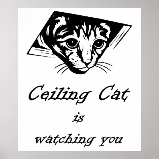 シーリングキャットが見守る ポスター (正面)