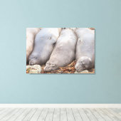 シーリング キャンバスプリント (インサイチュ (ウッドフロア))