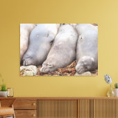 シーリング キャンバスプリント (インサイチュ (リビング))