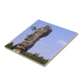 シーリンピナクルス石林 – 雲南,中国,アジア タイル (側面)