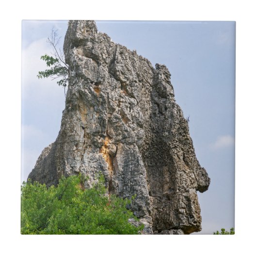 シーリンピナクルス石林 – 雲南，中国，アジア タイル (正面)