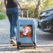 シールとラベル シール (スーツケースインサイチュ)