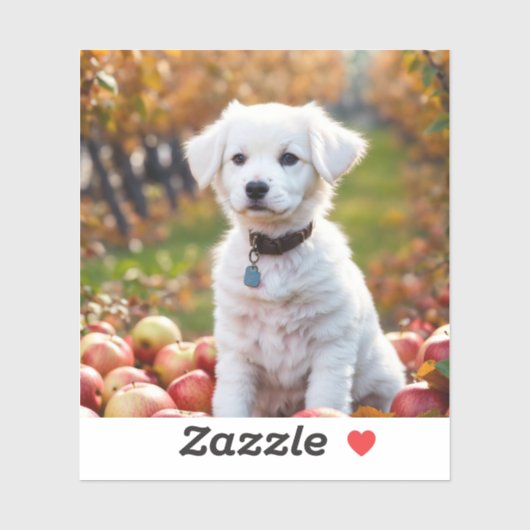 シールとラベル シール (シート)