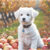 シールとラベル シール (正面)