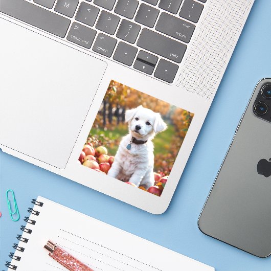 シールとラベル シール (ノートパソコンとiPhone)