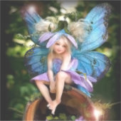 シールとラベル シール (正面)