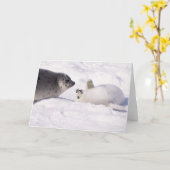 シールの相棒 カード (黄色い花)