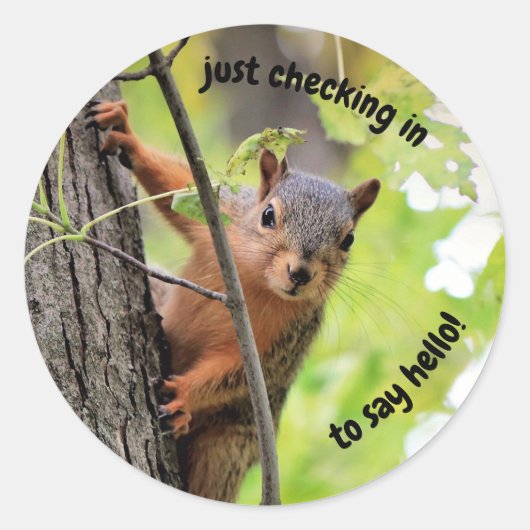 シールをチェックインする ラウンドシール (正面)