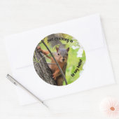 シールをチェックインする ラウンドシール (封筒)