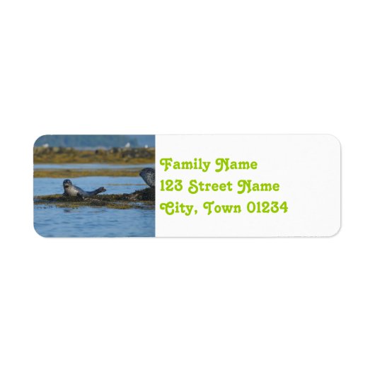 シールインカスコベイメイン ラベル (正面)