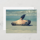 シールウェーブ ポストカード (正面/裏面)