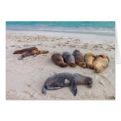 シールカード (正面横)