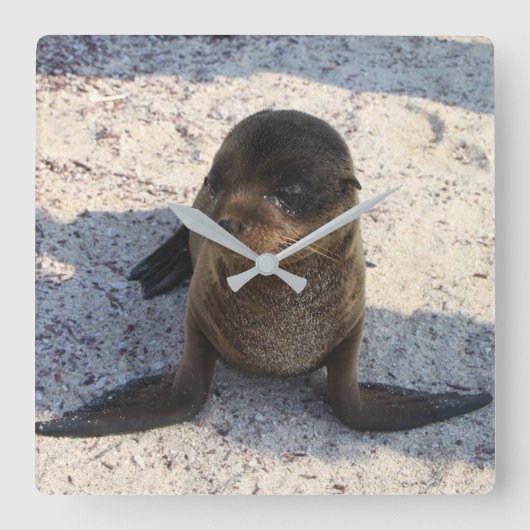 シールクロック スクエア壁時計 (正面)