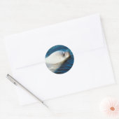 シールスイミング ラウンドシール (封筒)