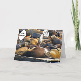 シールスリープファルテッドカード カード