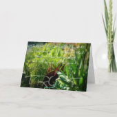 シールド カード (正面)