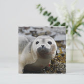 シールポップ招待状 招待状 (スタンド正面)