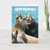 シールライオンズ写真すべての誕生日 カード (正面)