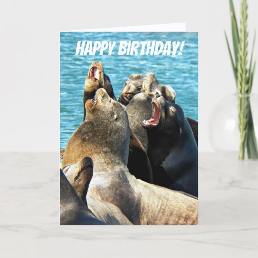 シールライオンズ写真すべての誕生日 カード (正面)