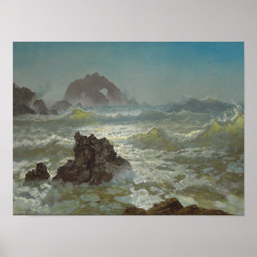 シールロック、カリフォルニア、c.1872 ポスター (正面)