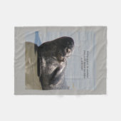 シール毛布 フリースブランケット (正面(横))