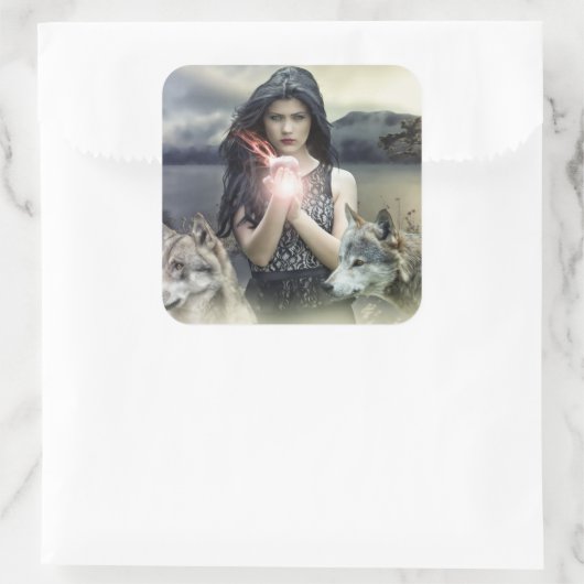 シール (バッグ)