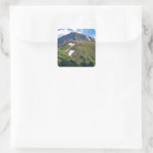 シール (バッグ)