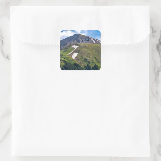 シール (バッグ)