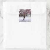 シール (バッグ)