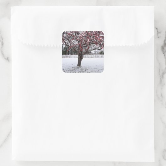 シール (バッグ)