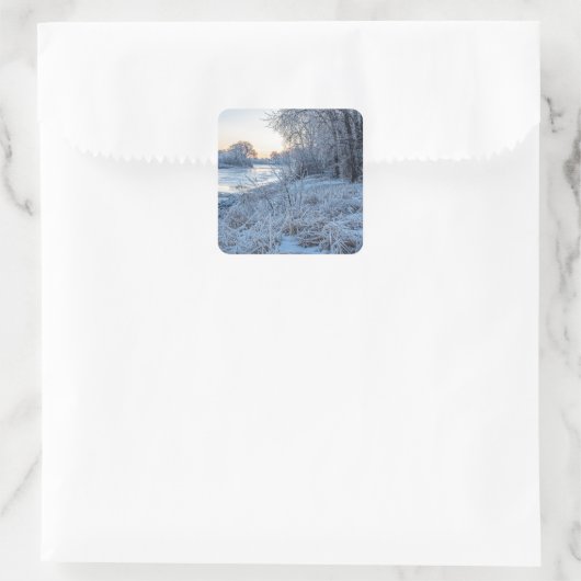 シール (バッグ)