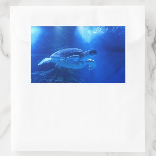 シール (バッグ)