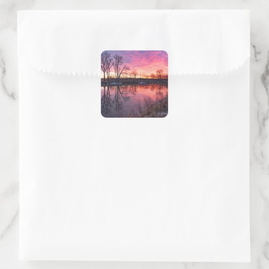 シール (バッグ)