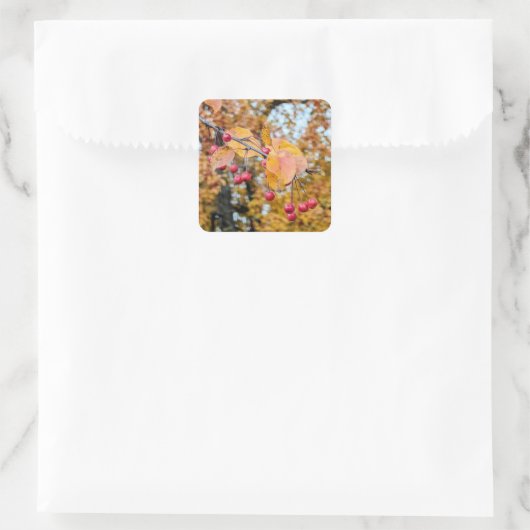 シール (バッグ)