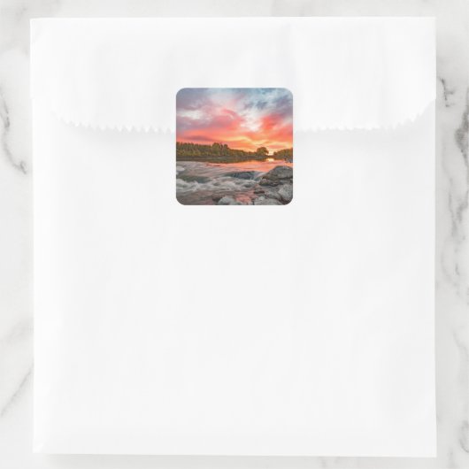 シール (バッグ)